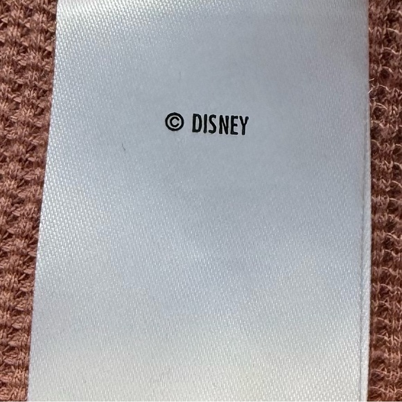 Disney Pink Hooded Sweatshirt with Jasmine Patch - Picture 5 of 14